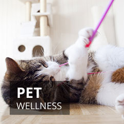Pet Wellness & Health