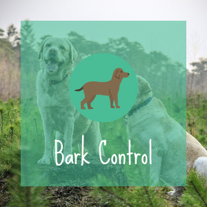 Bark Control