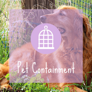 Pet Containment